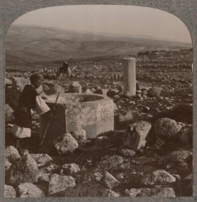 Ruinene av Tekoa, ca 1900 av Unbekannt