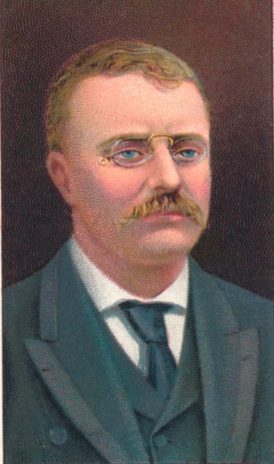 Theodore Roosevelt 1858-1919, 26. president i USA, 1906 av Unbekannt