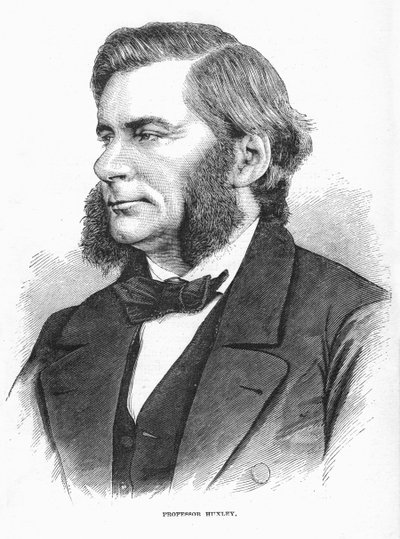 Thomas Henry Huxley , britisk biolog, ca 1860-tallet av Unbekannt