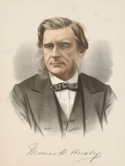 Thomas Henry Huxley, engelsk biolog, c1880 av Unbekannt