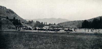 Treske mais på den eldgamle måten, 1911 av Unbekannt