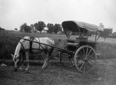 Tonga hestevogn, Muttra, India, 1917 av Unbekannt