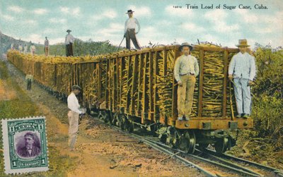 Toglast av sukkerrør, Cuba, 1911 av Unbekannt