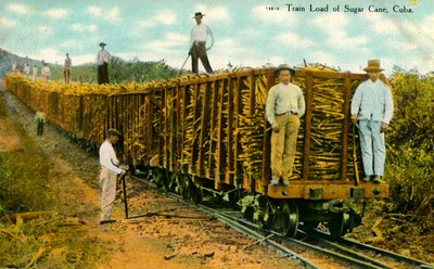 Toglast av sukkerrør, Cuba, c1910-tallet. av Unbekannt