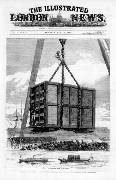 Transport av den afrikanske elefanten Jumbo til Amerika, 1882 av Unbekannt