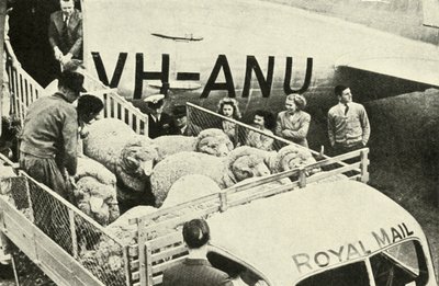 Transporterer Premie Rams By Air, c1948. av Unbekannt