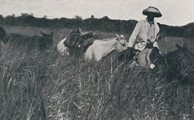Reise på Pampas, 1916 av Unbekannt