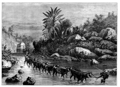 Reiser i Griqualand, Sør-Afrika, c1890 av Unbekannt