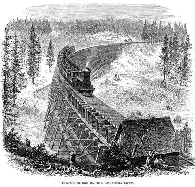 Trestle Bridge på Union Pacific Railroad, USA, 1876 av Unbekannt