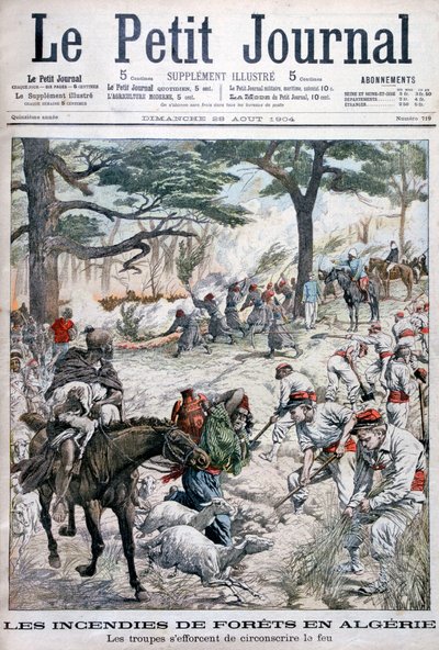 Tropper prøver å begrense en skogbrann, Algerie, 1904 av Unbekannt