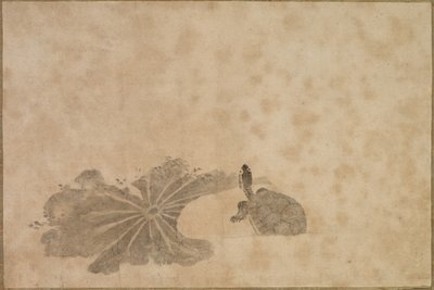 Skilpadde i en lotusdam, 1700-tallet. av Unbekannt