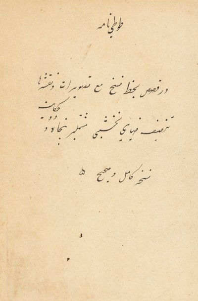 Tuti-Nama Tales of a Papegøye, ca. 1560. av Unbekannt