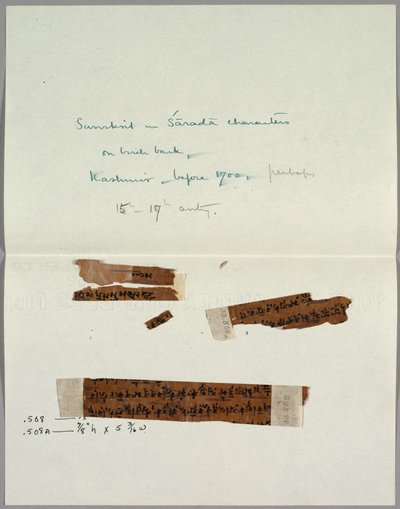 To fragmenter av bark med sanskrit, før 1700. av Unbekannt