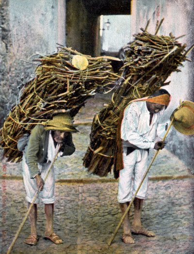 To menn som bærer trebunter på ryggen, Mexico, tidlig på 1900-tallet av Unbekannt