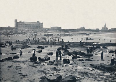 Tynemouth - The Aquarium and Sands, 1895 av Unbekannt