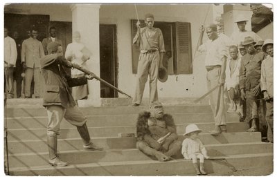 En temmet gorilla, ca. 1910 (s/hvitt-bilde) av Unbekannt