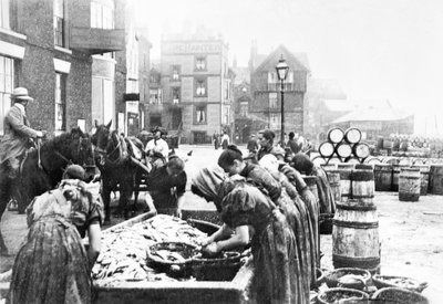 Storbritannia: Skotske sildrenner på jobb i Scarborough. Scarborough, ca 1890 av Unbekannt