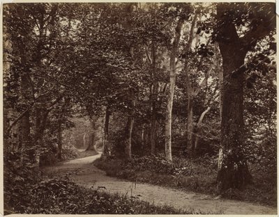 Uten tittel Landskap, tidlig på 1860-tallet. av Unbekannt