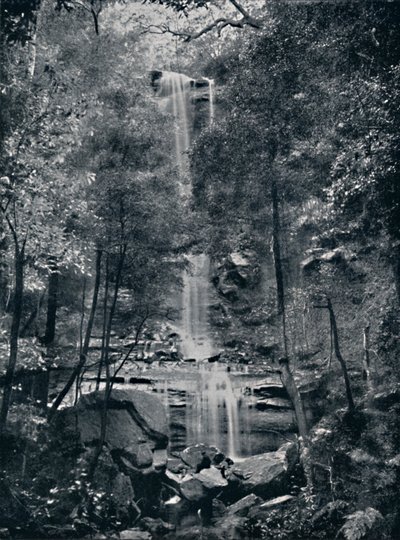 Valley of the Waters, Blue Mountains, c1900. av Unbekannt