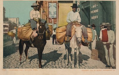 Grønnsaksmenn, Havana, Cuba, 1904 av Unbekannt