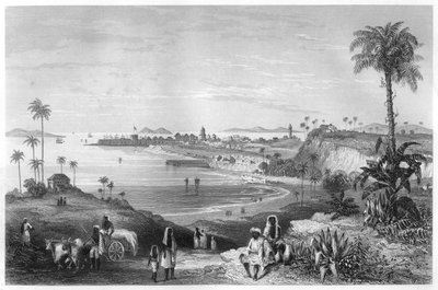 Utsikt over Bombay som viser fortet, c1860 av Unbekannt