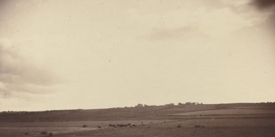 Utsikt over felt med kyr, 1850-1860-tallet. av Unbekannt