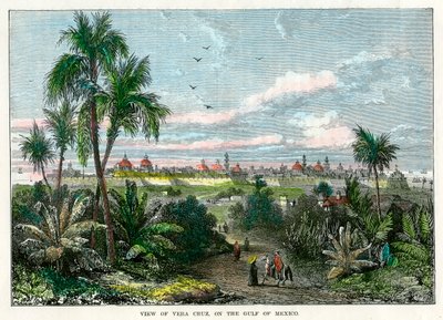 Utsikt over Vera Cruz, ved Mexicogulfen, Mexico, c1880 av Unbekannt