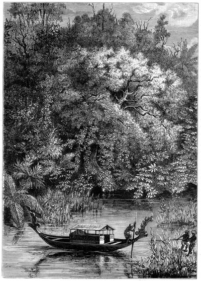 Utsikt over Dodinga-elven, New Guinea, 1877 av Unbekannt