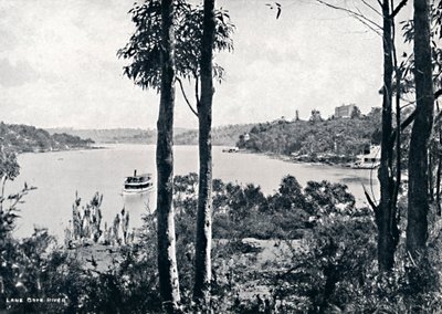 Utsikt over Lane Cove River, c1900. av Unbekannt