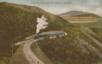 Utsikt over Vale of Rheidol Railway, tidlig på 1900-tallet. av Unbekannt
