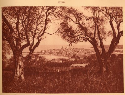 Utsikt gjennom oliventrærne til Antibes, 1930. av Unbekannt