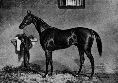 Voltigeur, 1847-1874, 1911 av Unbekannt