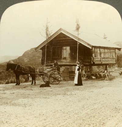 Venter på passasjerer på veien nær Bolkesjo, Norge, c1905. av Unbekannt