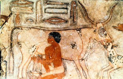 Veggmaleri fra graven til Methethi, Saqqara, det gamle Egypt, Det gamle riket, c2371-2350 f.Kr. av Unbekannt
