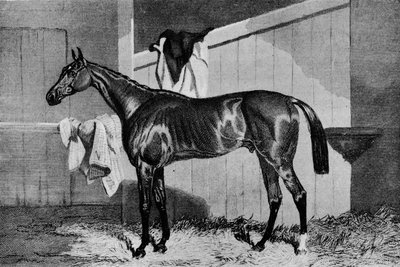 Warlock, 1800-tallet, 1911 av Unbekannt