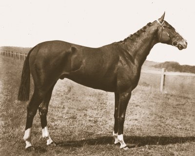 Weathercock, 1911. av Unbekannt