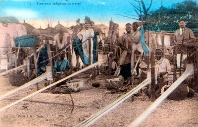 Vevere, Afrika, 1900-tallet av Unbekannt