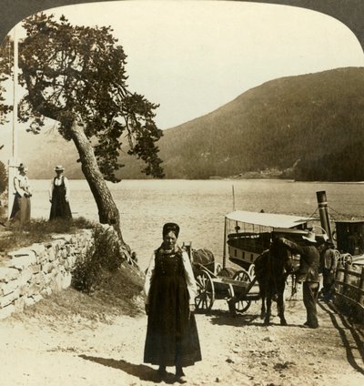 Når sjødamperen anløper Tinoset brygge - utsikt over Tinsjo til åsene, Norge, c1905. av Unbekannt