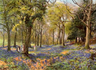 Wild Hyacinths in a Surrey Copse, 1906 av Unbekannt