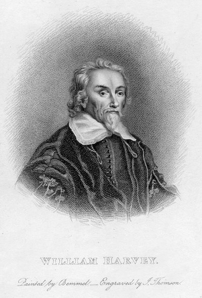 William Harvey 1578-1657 engelsk lege, c1600-tallet av Unbekannt