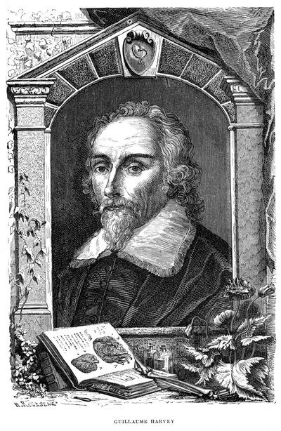 William Harvey 1578-1657 engelsk lege, c1600-tallet av Unbekannt