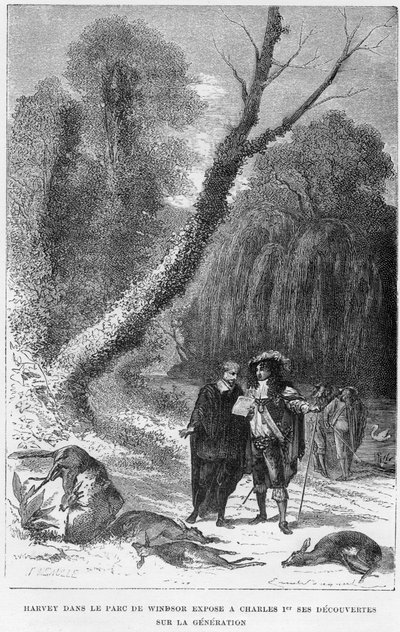 William Harvey, engelsk lege, i Windsor Park, 1600-tallet 1870 av Unbekannt