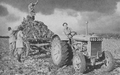Womens Land Army løfter en avling, andre verdenskrig, 1940 av Unbekannt