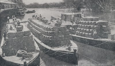 Ulllektere på Murray River, 1923. av Unbekannt