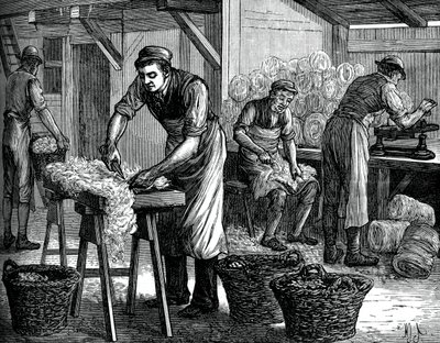 Ullsorterer, c1880 av Unbekannt