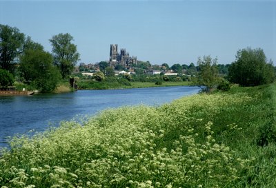 Ely-katedralen og elven Ouse av Unbekannt Unbekannt