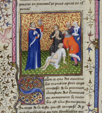 Ms.251 f.54v En lege med sine pasienter, fra Des Proprietez des Choses, ca. 1415 av Unbekannt Unbekannt