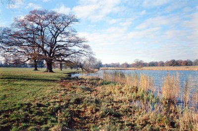 Utsikt over innsjøen, Corsham Court, Wiltshire av Unbekannt Unbekannt