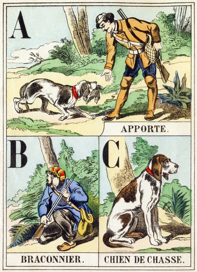 A B C: Bring, Poacher, Hunting Dog - The Hunting Alphabet, ca. 1890 (gravering) av Unbekannt