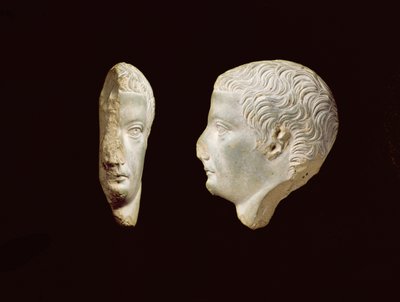 Et Relief Boss Profile Portrait of the Emperor Tiberius (14-37) 1st century (frit) av Unbekannt